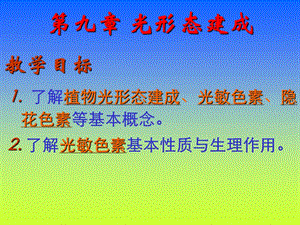 【教学课件】第九章光形态建成.ppt