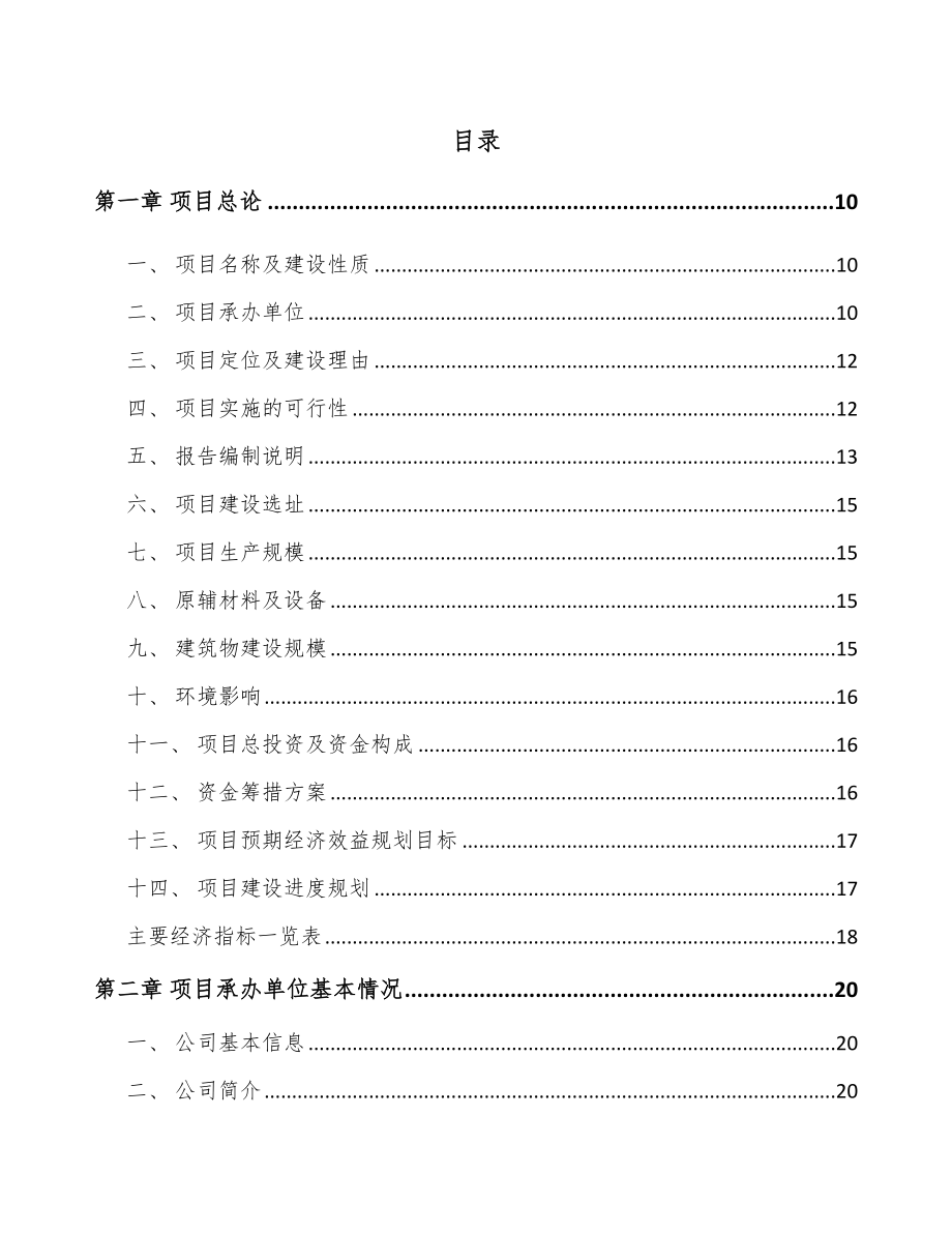 印花布项目可行性研究报告.docx_第2页