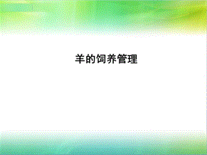 《羊饲养管理技术》PPT课件.ppt