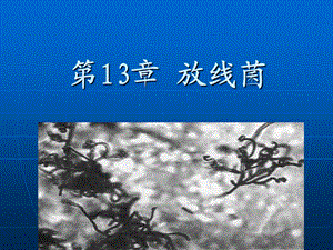 【教学课件】第13章放线菌.ppt