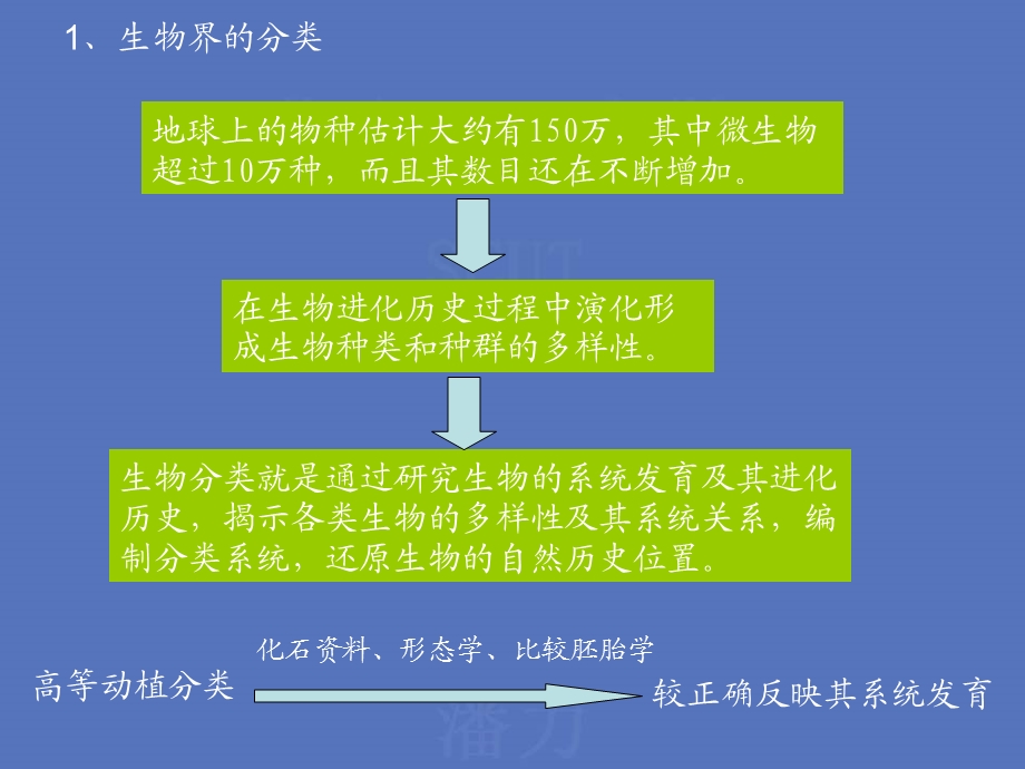 【教学课件】第二章微生物的分类、鉴定及命名.ppt_第2页