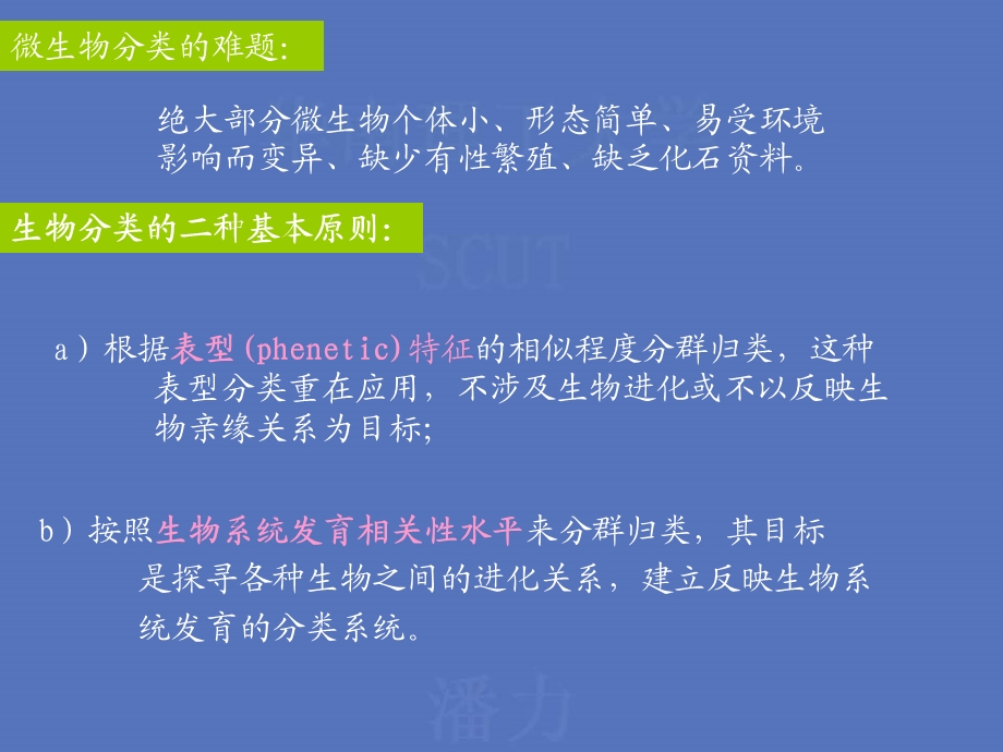 【教学课件】第二章微生物的分类、鉴定及命名.ppt_第3页