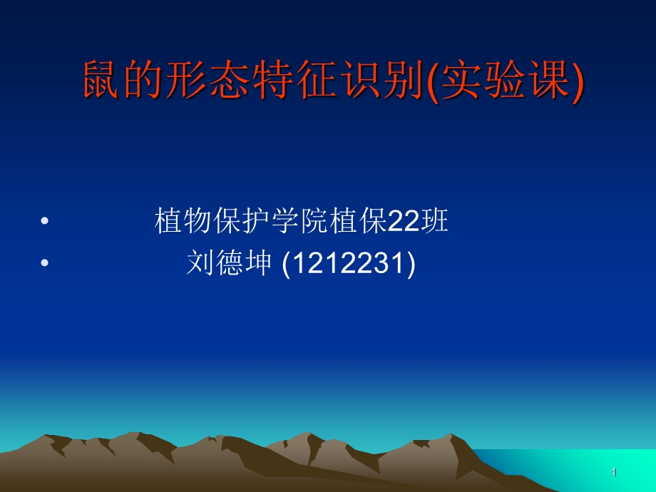 《鼠的形态特征》PPT课件.ppt_第1页