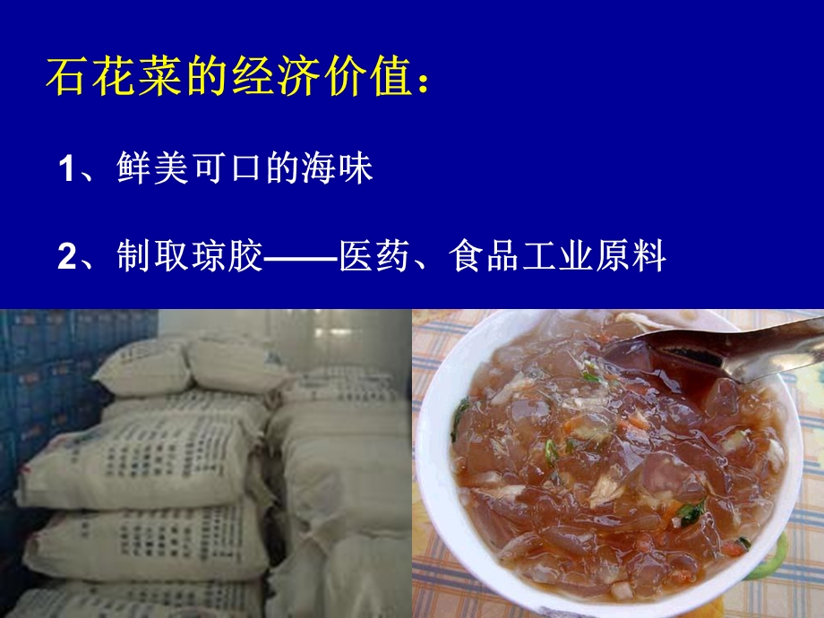 《石花菜栽培学》PPT课件.ppt_第2页