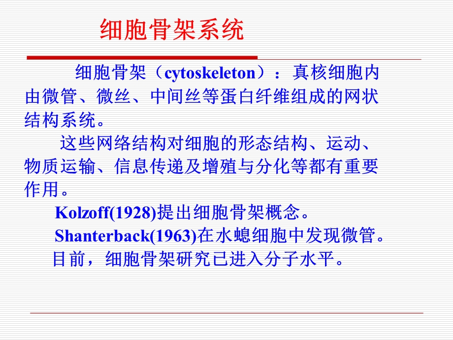 cellB5 细胞骨架.ppt_第2页