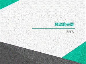 《颈动脉夹层》PPT课件.ppt