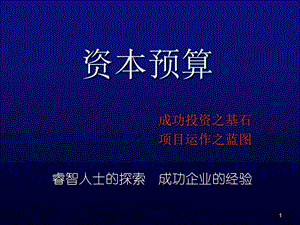 《资本预算培训》PPT课件.ppt