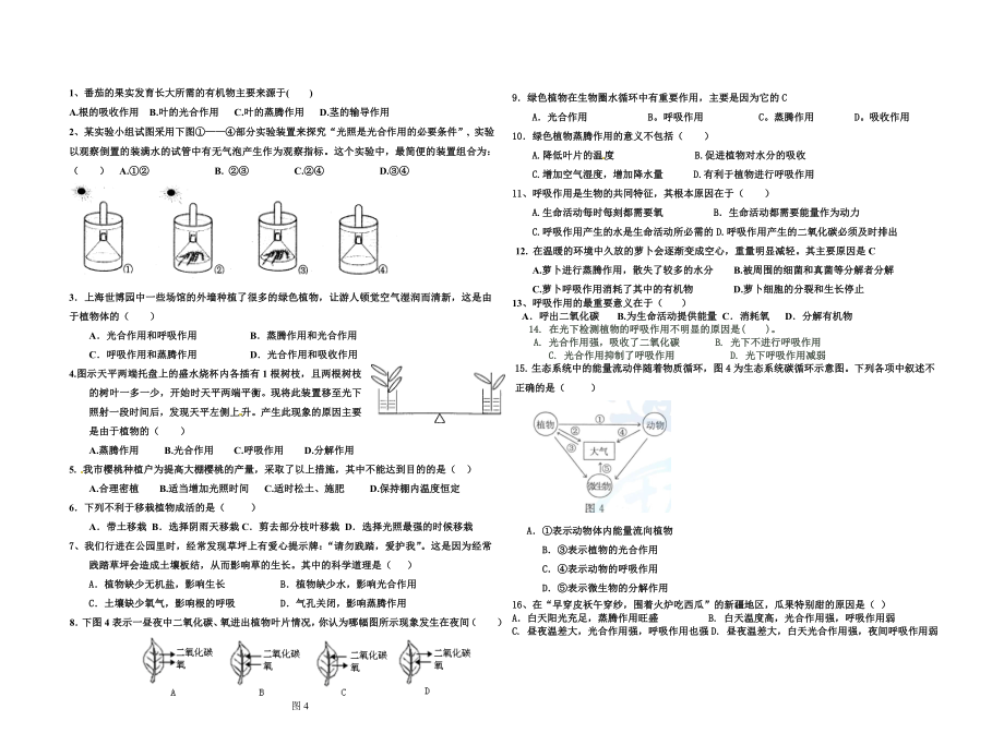 绿色植物的生理过程.doc_第1页