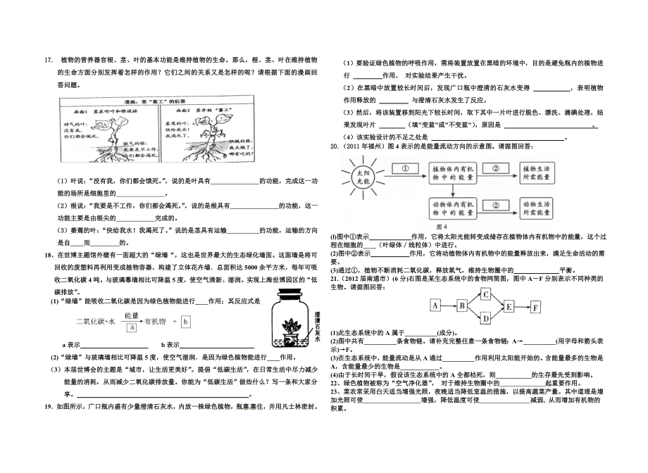 绿色植物的生理过程.doc_第2页