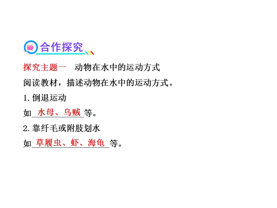 第节动物运动的方式.ppt_第3页