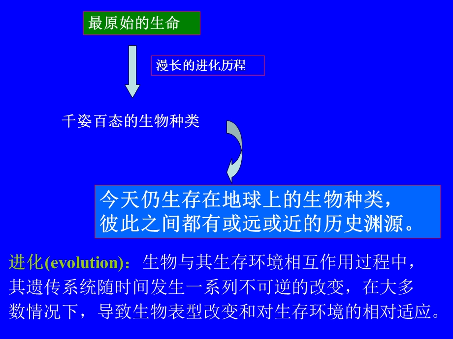 【教学课件】第十章微生物的进化、系统发育和分类鉴定.ppt_第2页