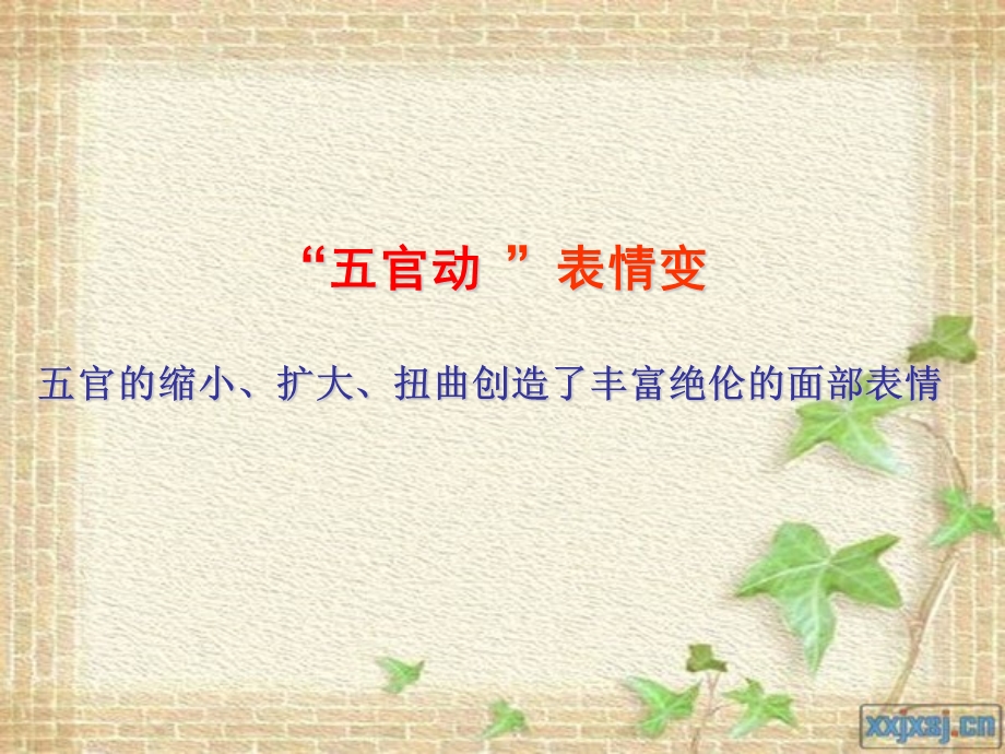 《表情丰富的脸》课件.ppt_第3页