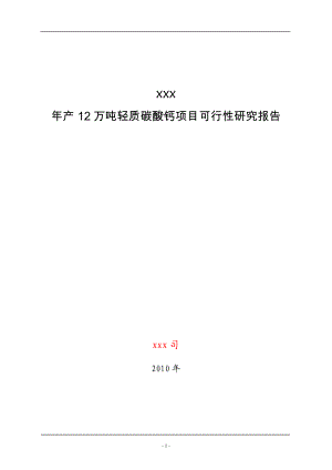 年产12万吨轻质碳酸钙项目可行性研究报告.doc