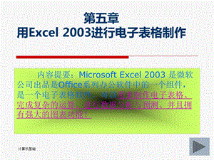 第五章用Excel2003进行电子表格制作第一节.ppt