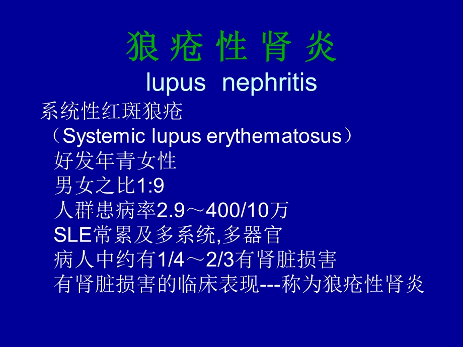 狼 疮 性 肾 炎.ppt_第2页