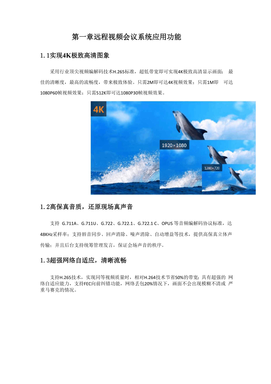 itc-远程视频会议系统功能描述.docx_第1页