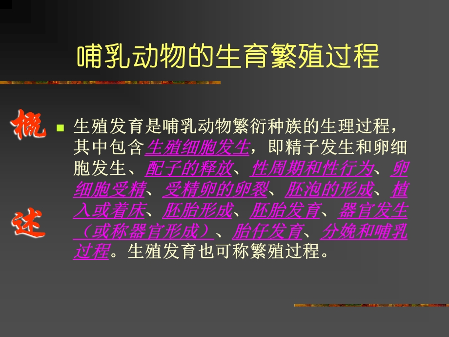 【教学课件】第十章生殖毒理学.ppt_第3页