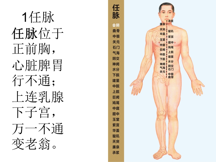 《经胳循行动态图》PPT课件.ppt_第2页