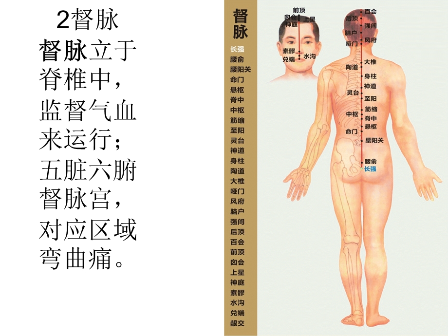 《经胳循行动态图》PPT课件.ppt_第3页