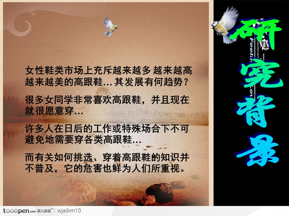 《高跟鞋华丽背后》PPT课件.ppt_第2页