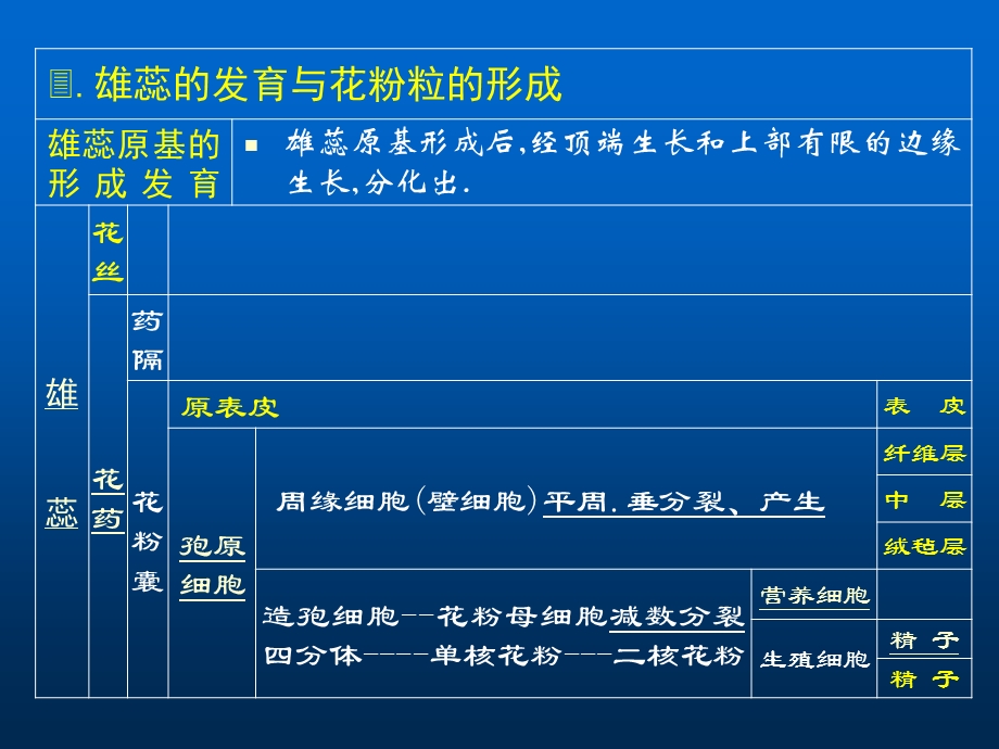 雄蕊原基形成后经顶端生长和上部有限的边缘生长分化出.ppt_第1页