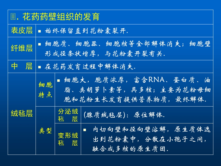 雄蕊原基形成后经顶端生长和上部有限的边缘生长分化出.ppt_第2页