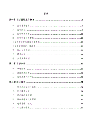 厦门石英产品项目可行性研究报告.docx