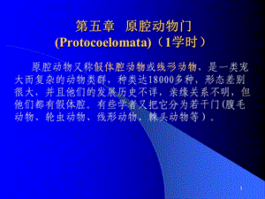 第五章原腔动物门Protocoelomata1学时.ppt