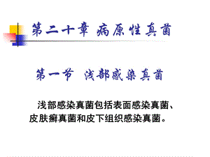 【教学课件】第二十章病原性真菌.ppt