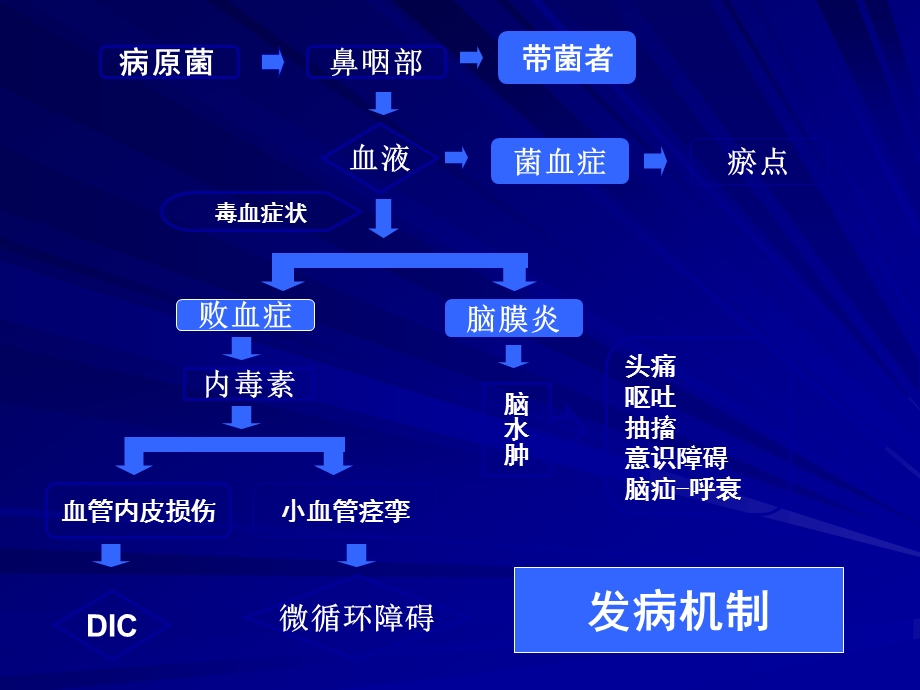 流行性脑脊髓膜炎的发病机制与病理解剖.ppt_第2页