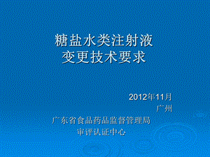 许庆锐糖盐水类注射液变更技术要求.ppt