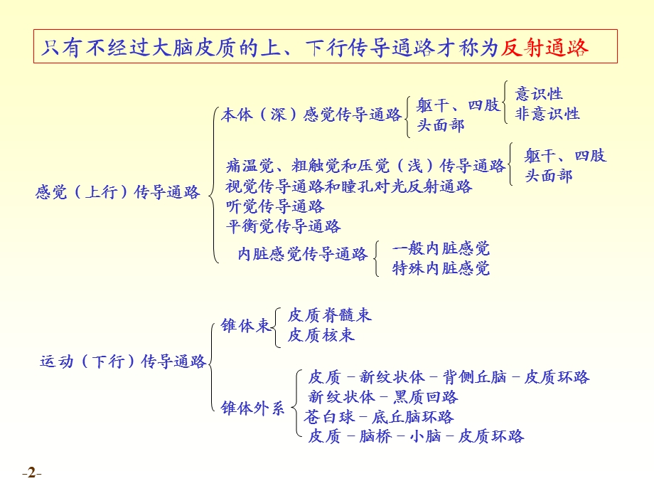 《解剖学传导路》PPT课件.ppt_第2页