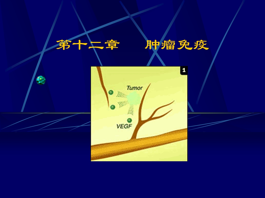 第十二章肿瘤免疫.ppt_第1页