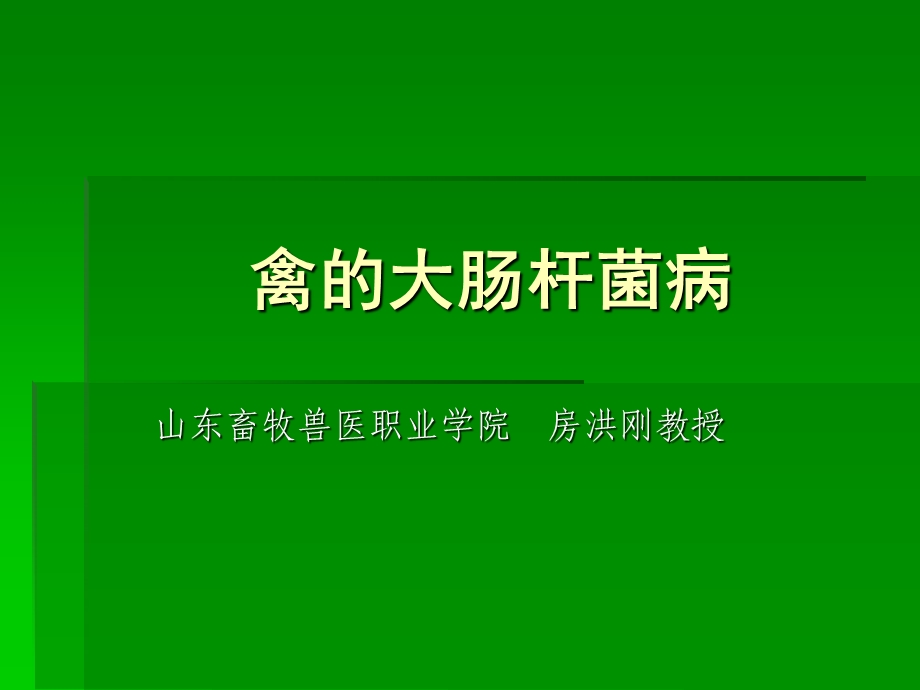 《禽的大肠杆菌病》PPT课件.ppt_第1页