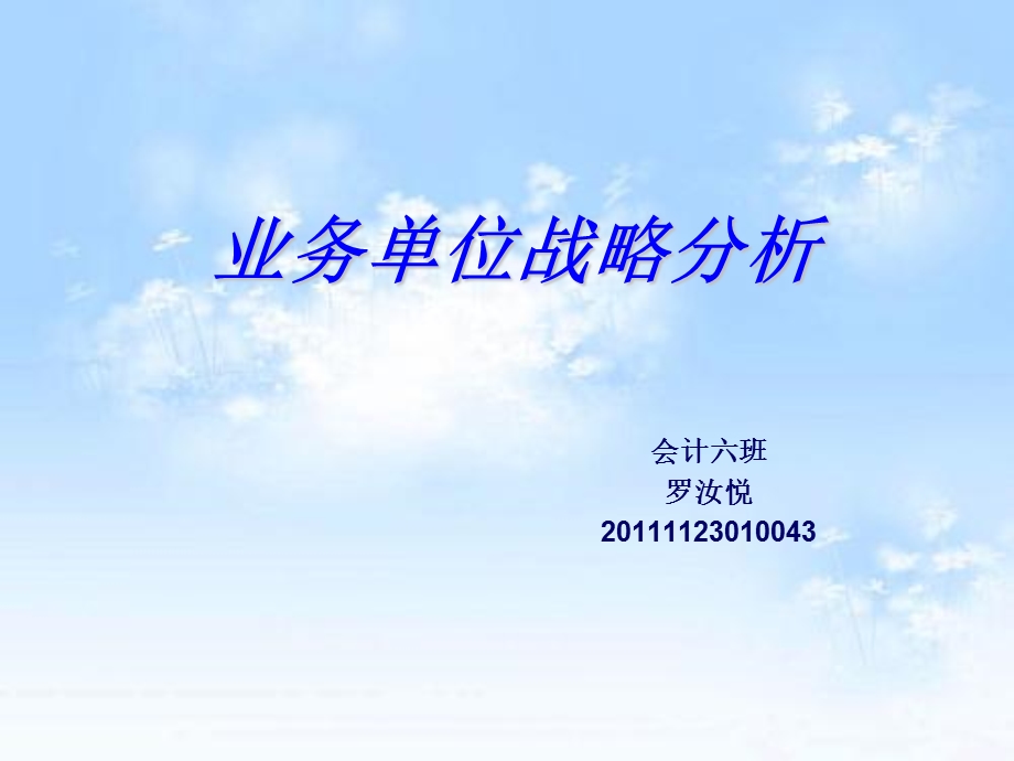 业务单位战略分析.ppt_第1页