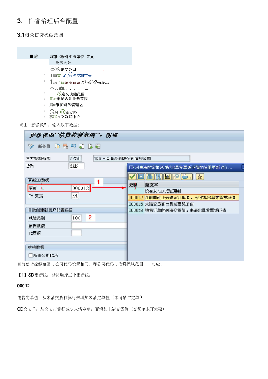 SAPSD信誉治理配置与应用.docx_第3页