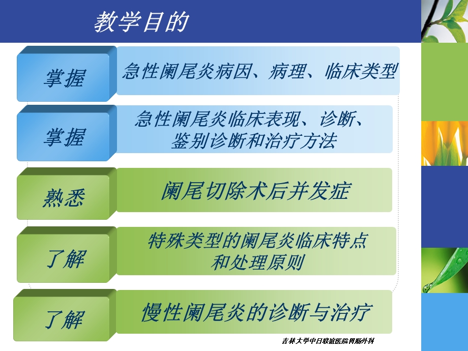 《阑尾疾病》PPT课件.ppt_第2页