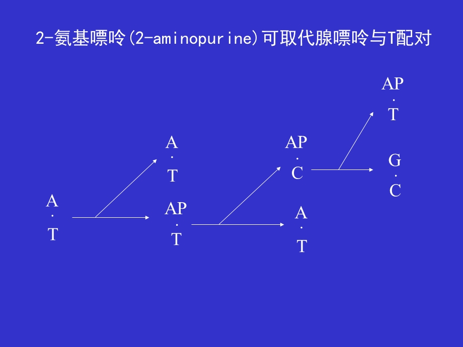 《突变和重组机》PPT课件.ppt_第3页