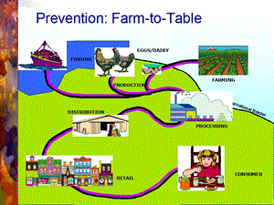 【教学课件】第十一章食品安全管理体系ISO.ppt