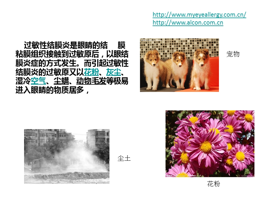 防治季节性过敏性结膜炎.ppt_第2页