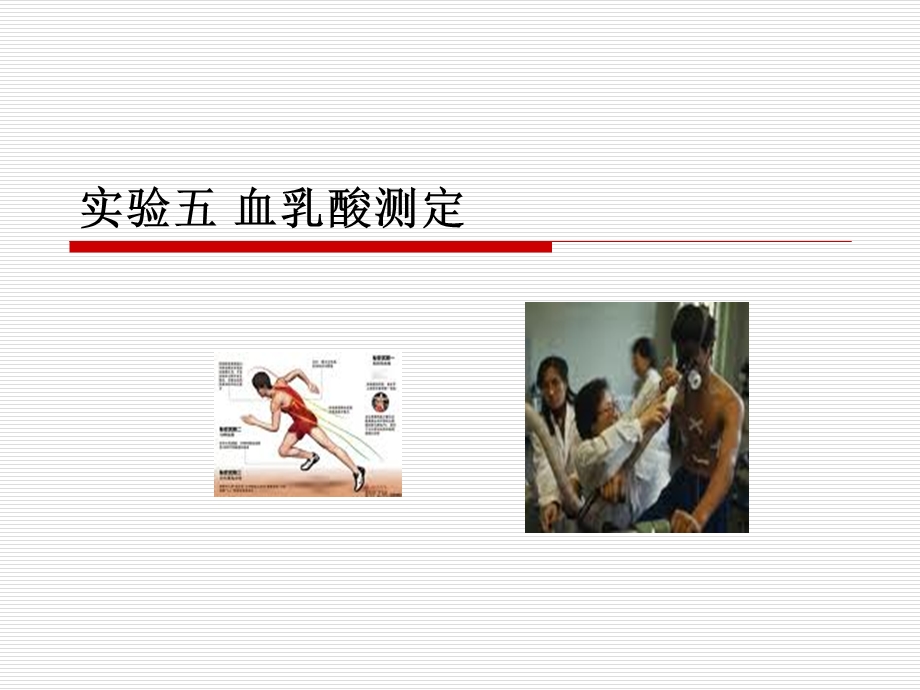 《血乳酸测定》PPT课件.ppt_第1页