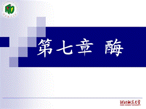 第七章酶.ppt