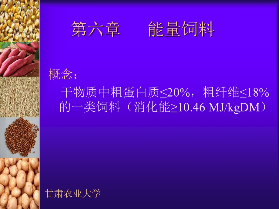 【教学课件】第六章能量饲料.ppt_第1页