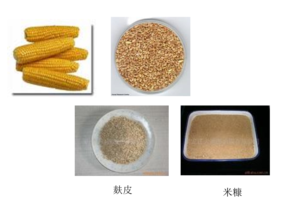 【教学课件】第六章能量饲料.ppt_第3页