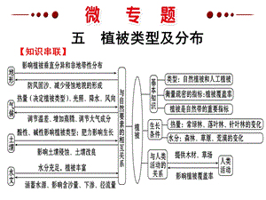 《植被类型及分布》PPT课件.ppt