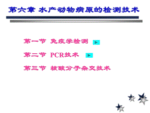 【教学课件】第六章水产动物病原的检测技术.ppt