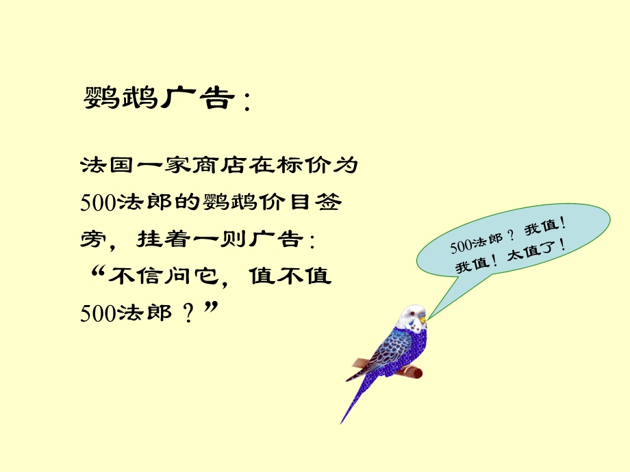 鹦鹉广告.ppt_第2页