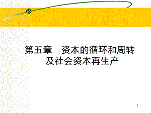 第五章资本的循环和周转及社会资本再生产.ppt