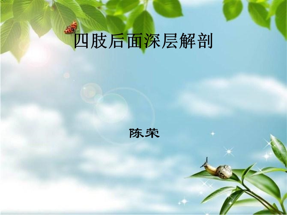 《肢后面深层解剖》PPT课件.ppt_第1页