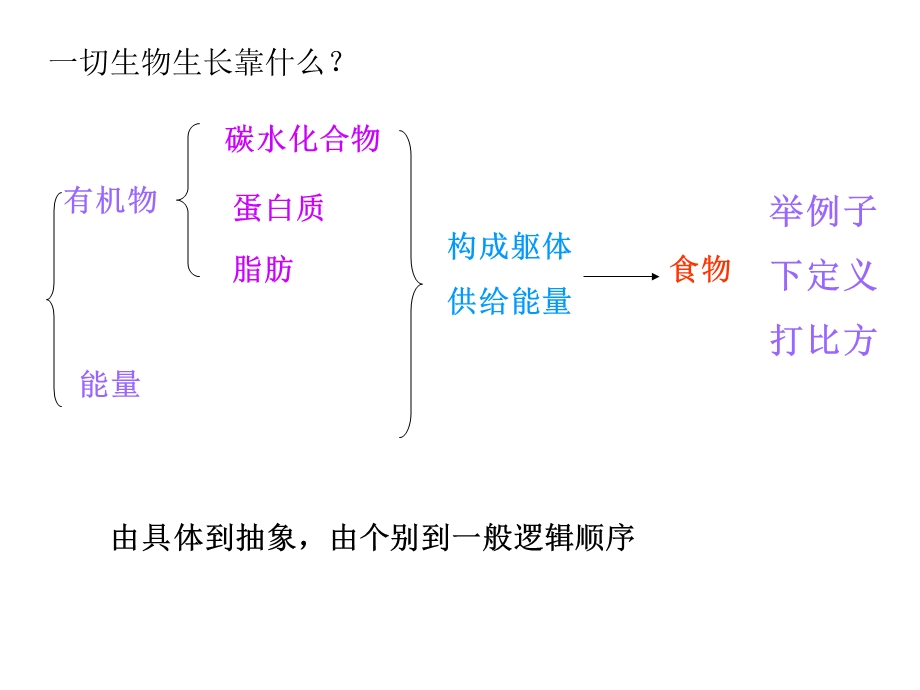 一粒种子能长成参天大树.ppt_第3页